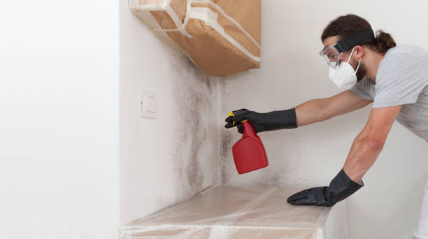 Professional Mold Remediation technician working in Willernie, MN