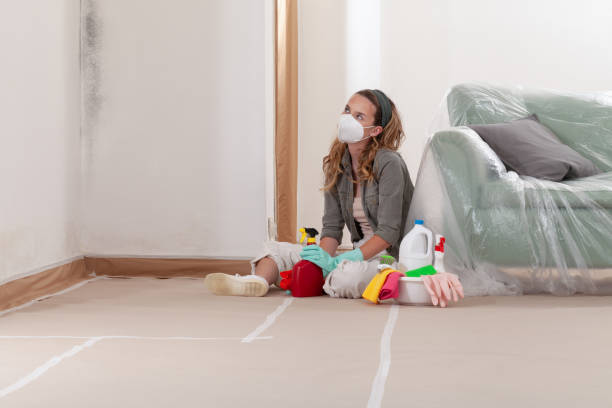Reliable Mold Remediation contractor in Willernie, MN by 24 Hour Mold Removal